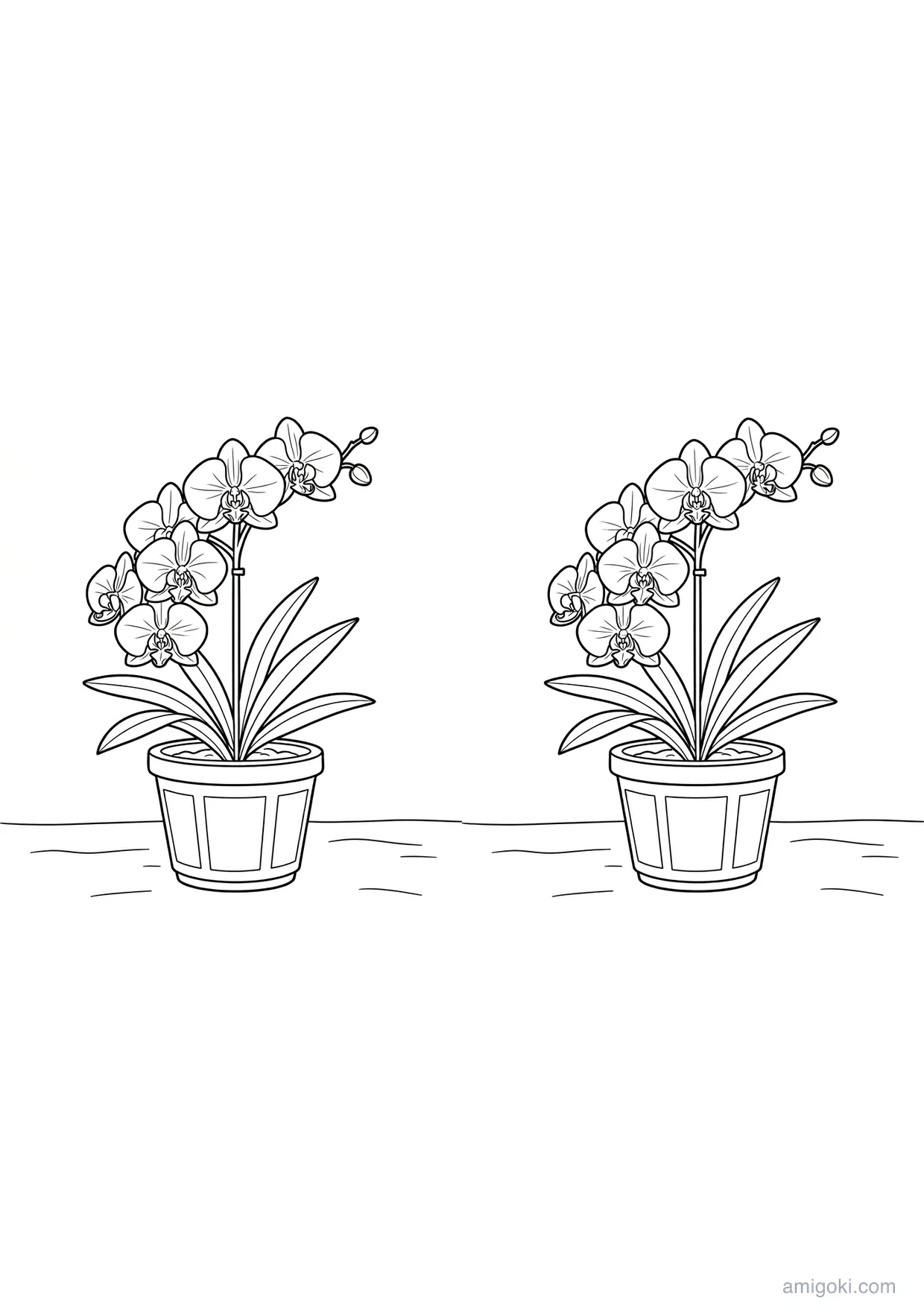 Desenho de Orquídea em Vaso para Colorir para Maiores de 6 Anos
