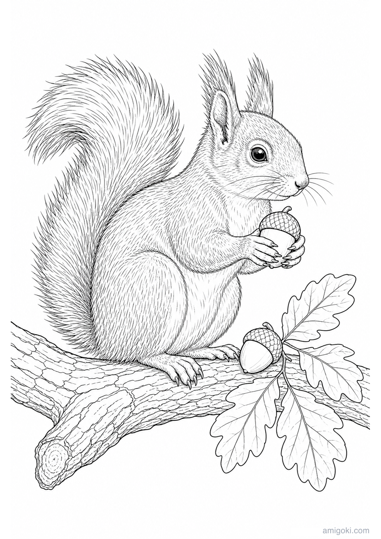 Squirrel with Acorn Coloring Page to Print Free