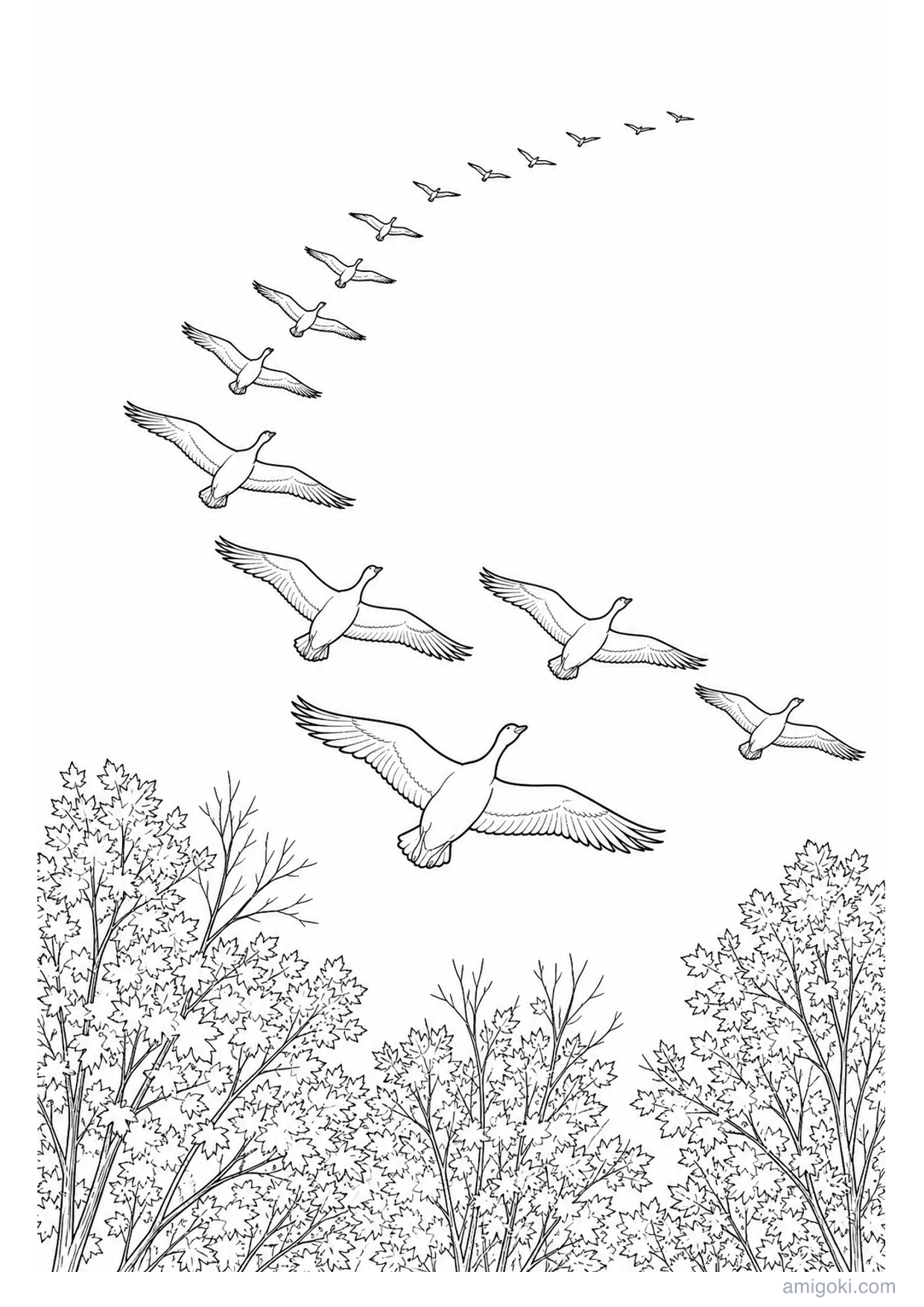 Dibujo de Aves Migrando para Colorear e Imprimir
