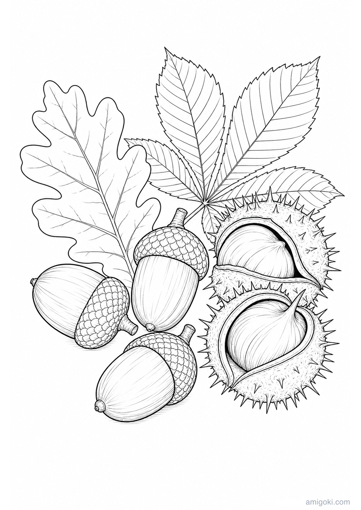 Acorns and Chestnuts Coloring Page to Print Free