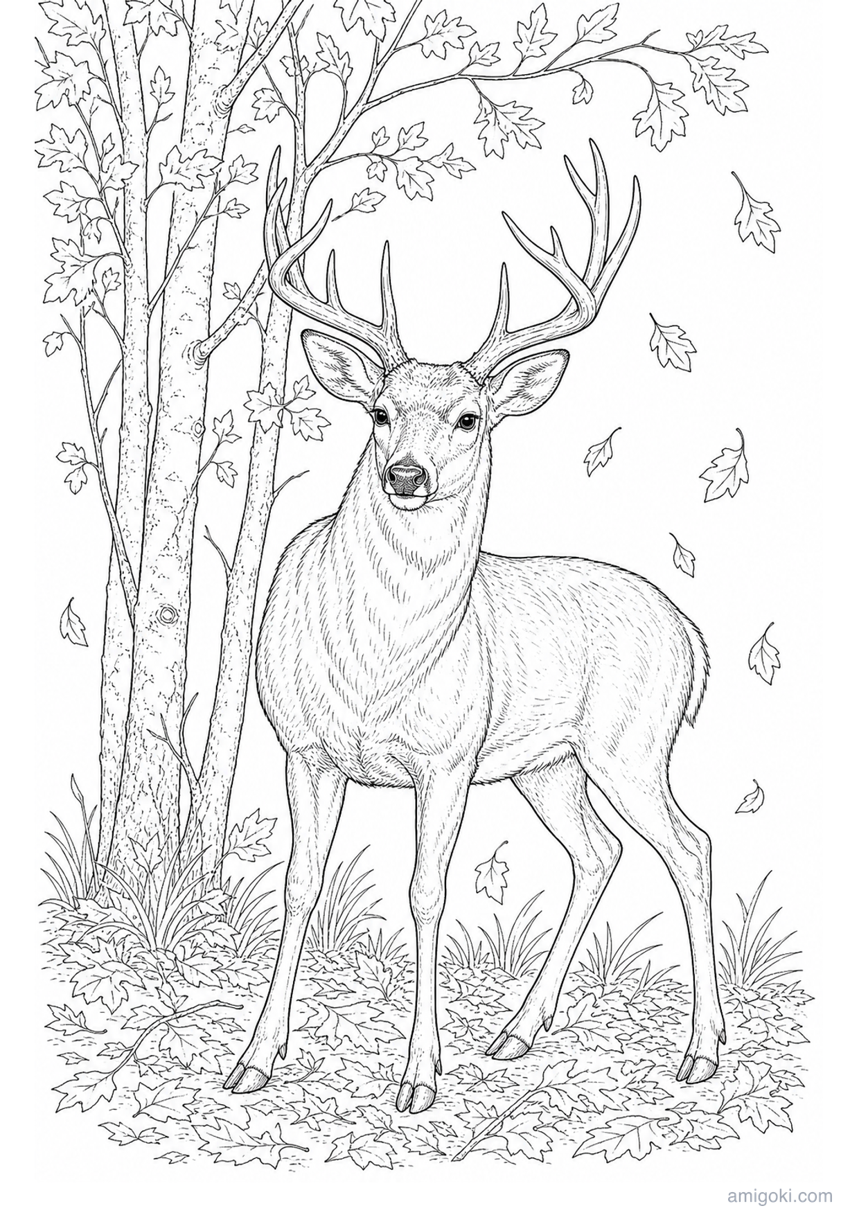 Deer in Autumn Forest Coloring Page to Print Free