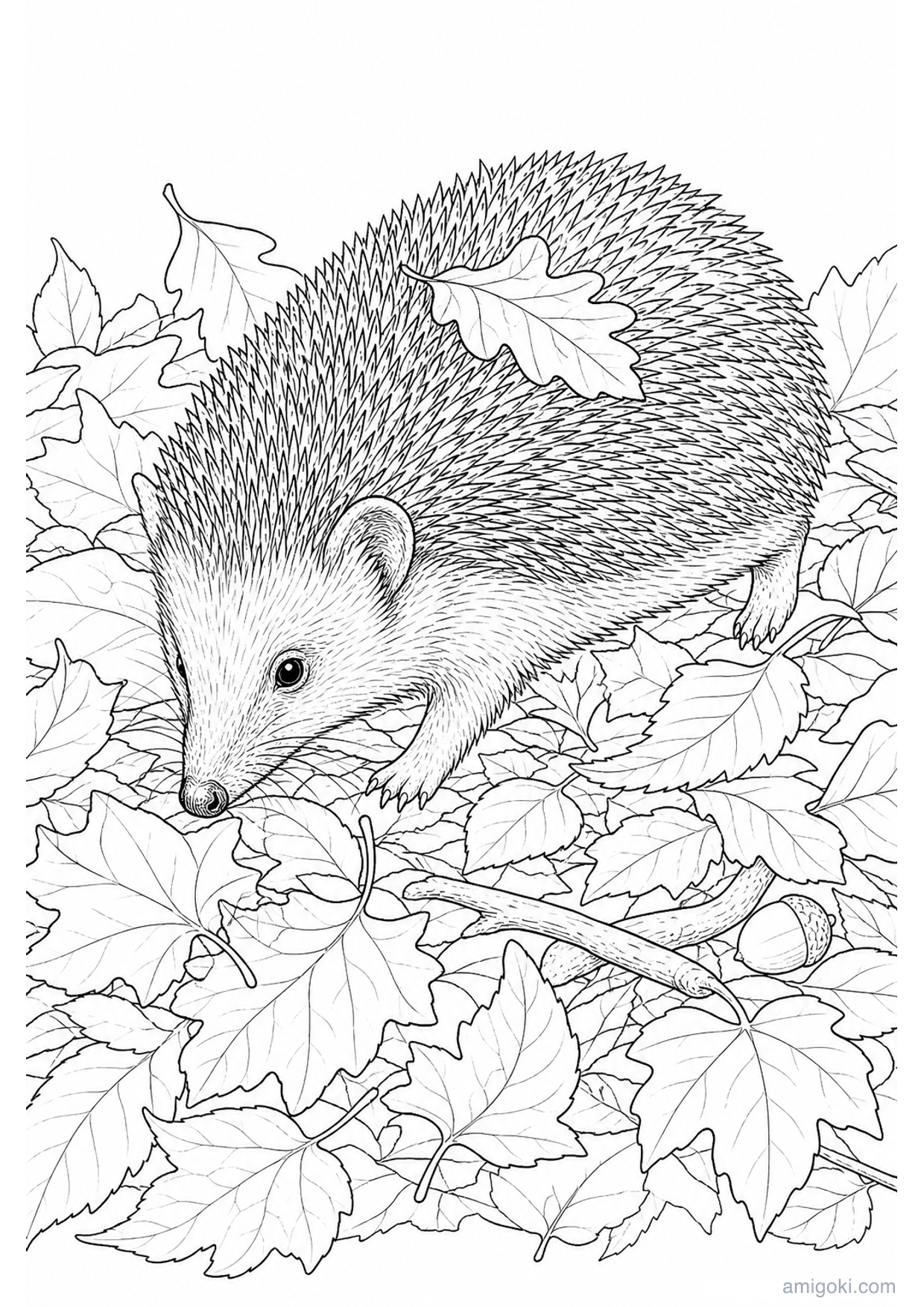 Hedgehog in the Leaves Coloring Page to Print Free