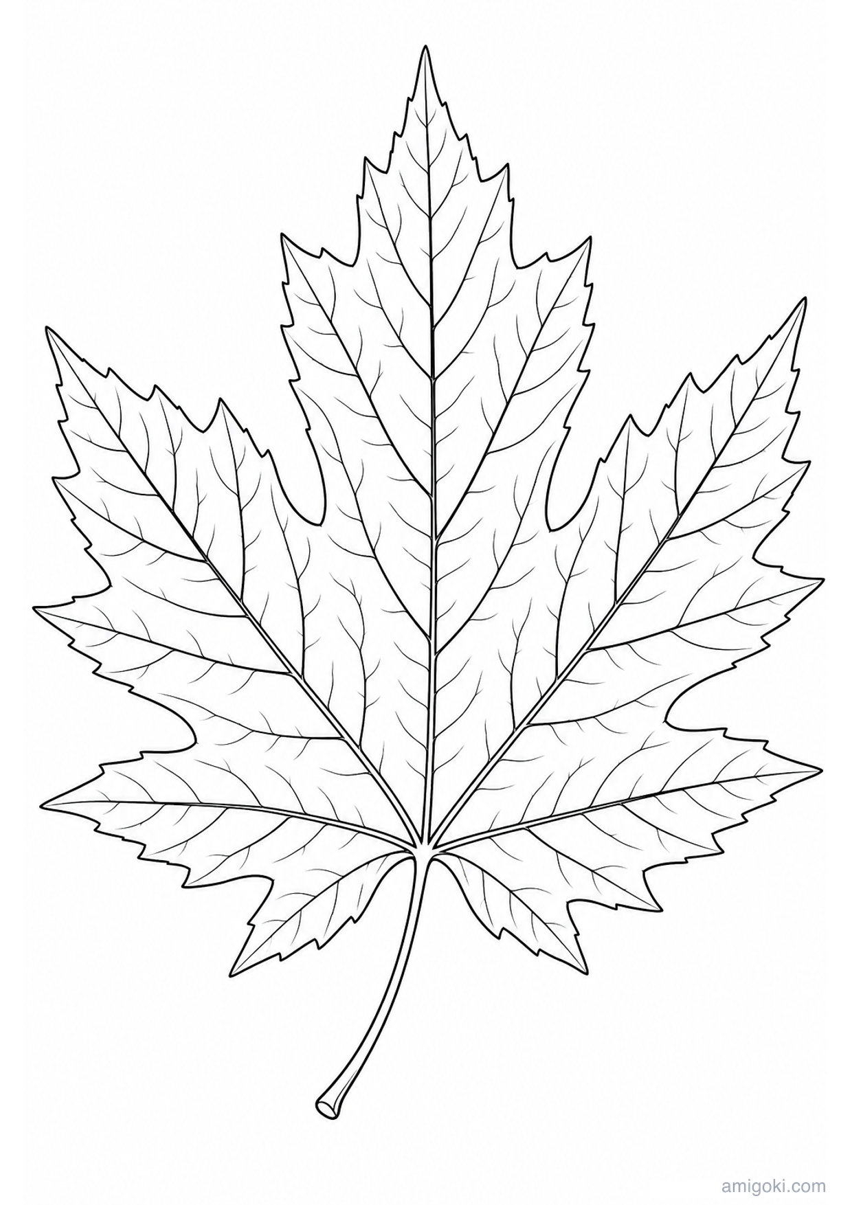 Dibujo de Hoja de Arce para Colorear e Imprimir