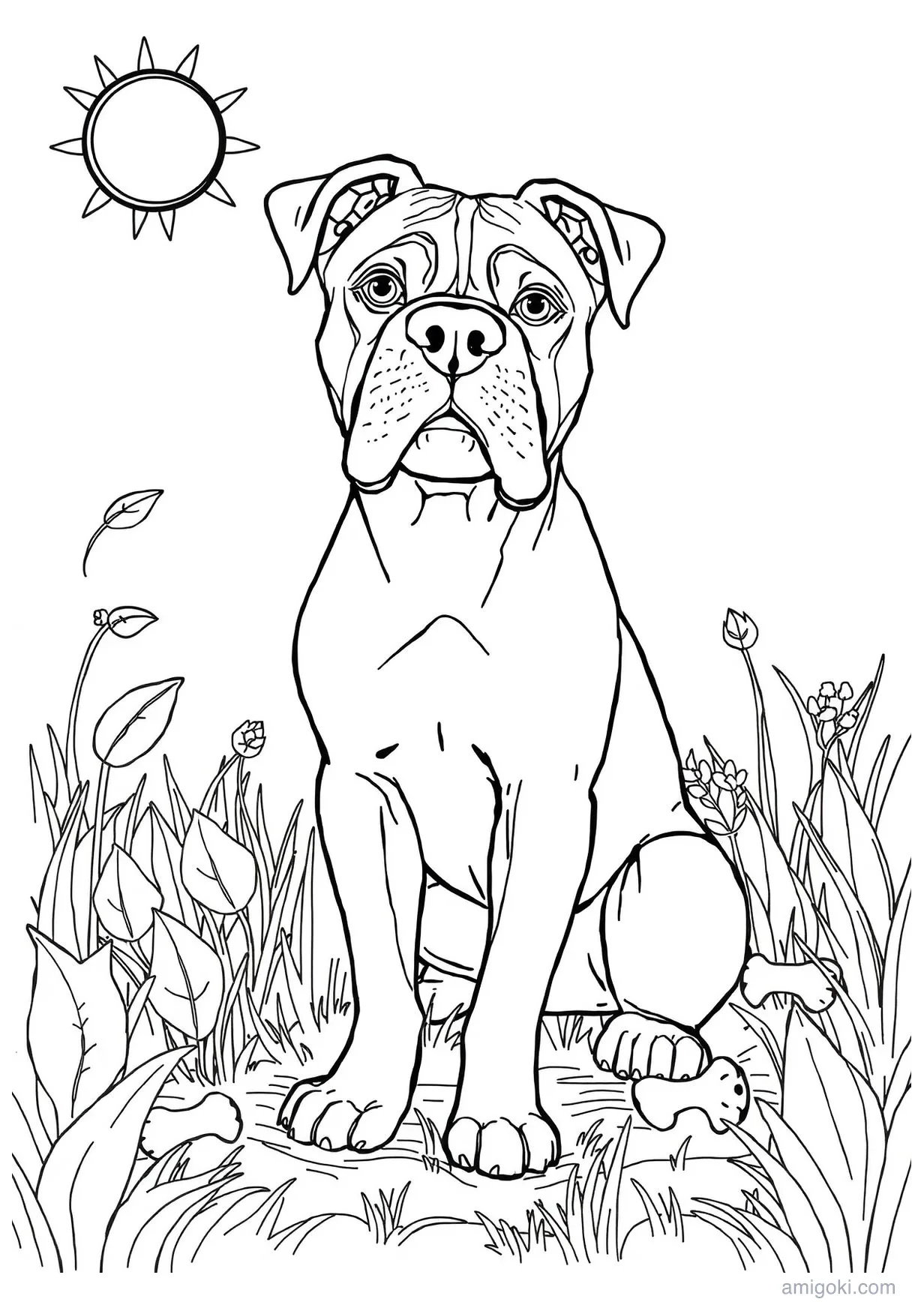 Dessin de Chien Boxer à Colorier pour Enfants de 6 Ans et Plus