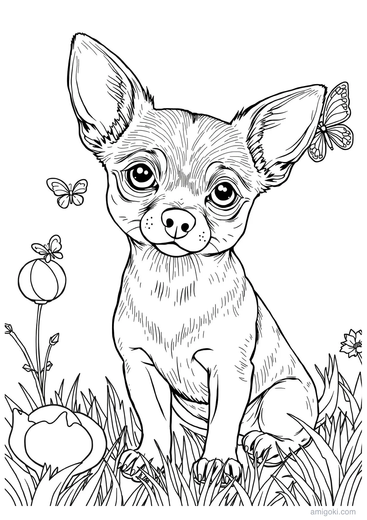 Dessin de Chihuahua à Colorier pour les Enfants de 6 ans et Plus