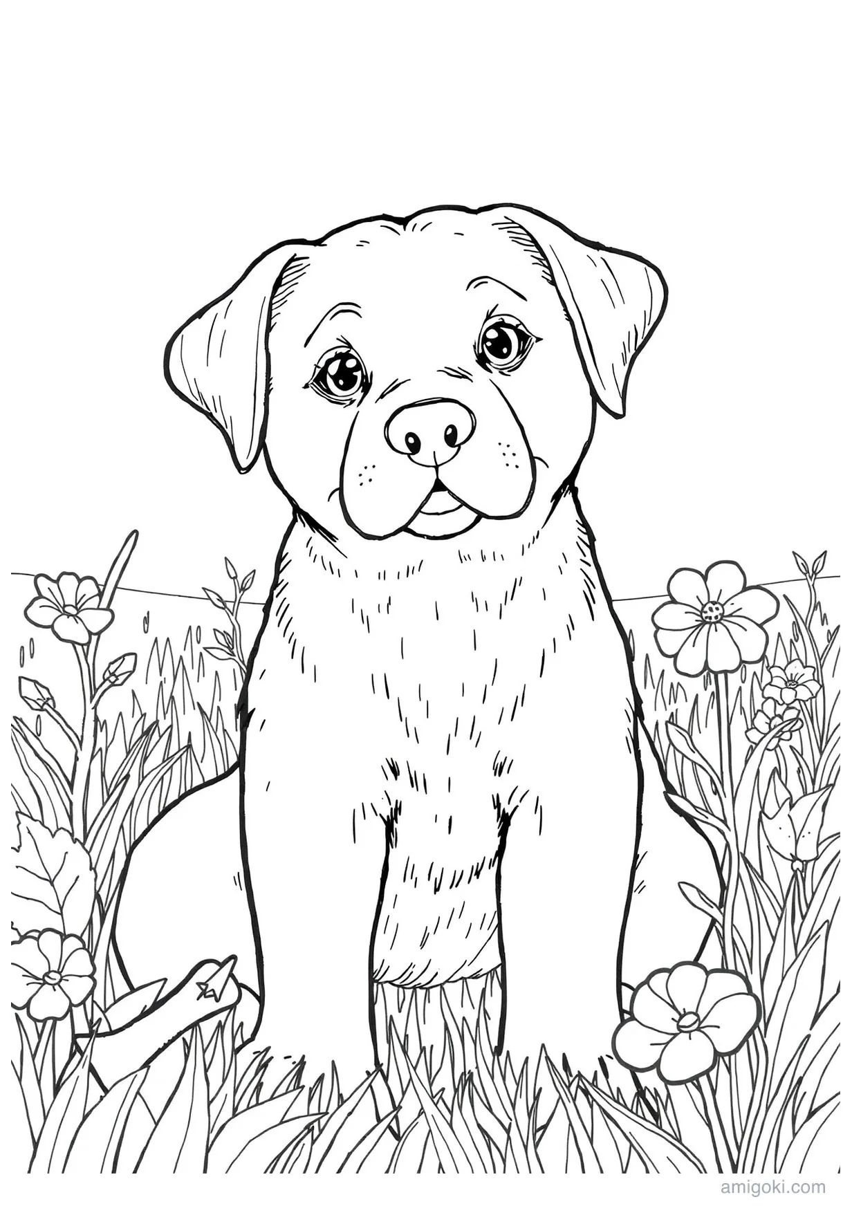 Dessin de Chiot Labrador à Colorier pour Enfants de 6 Ans et Plus
