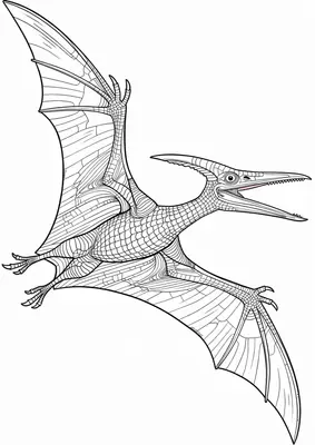 Pteranodon coloring page for kids, free printable dinosaur drawing activity for toddlers