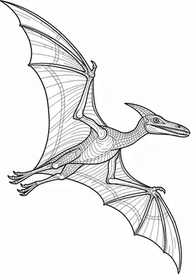 Pterodactyl coloring page for kids, free printable dinosaur drawing for toddlers