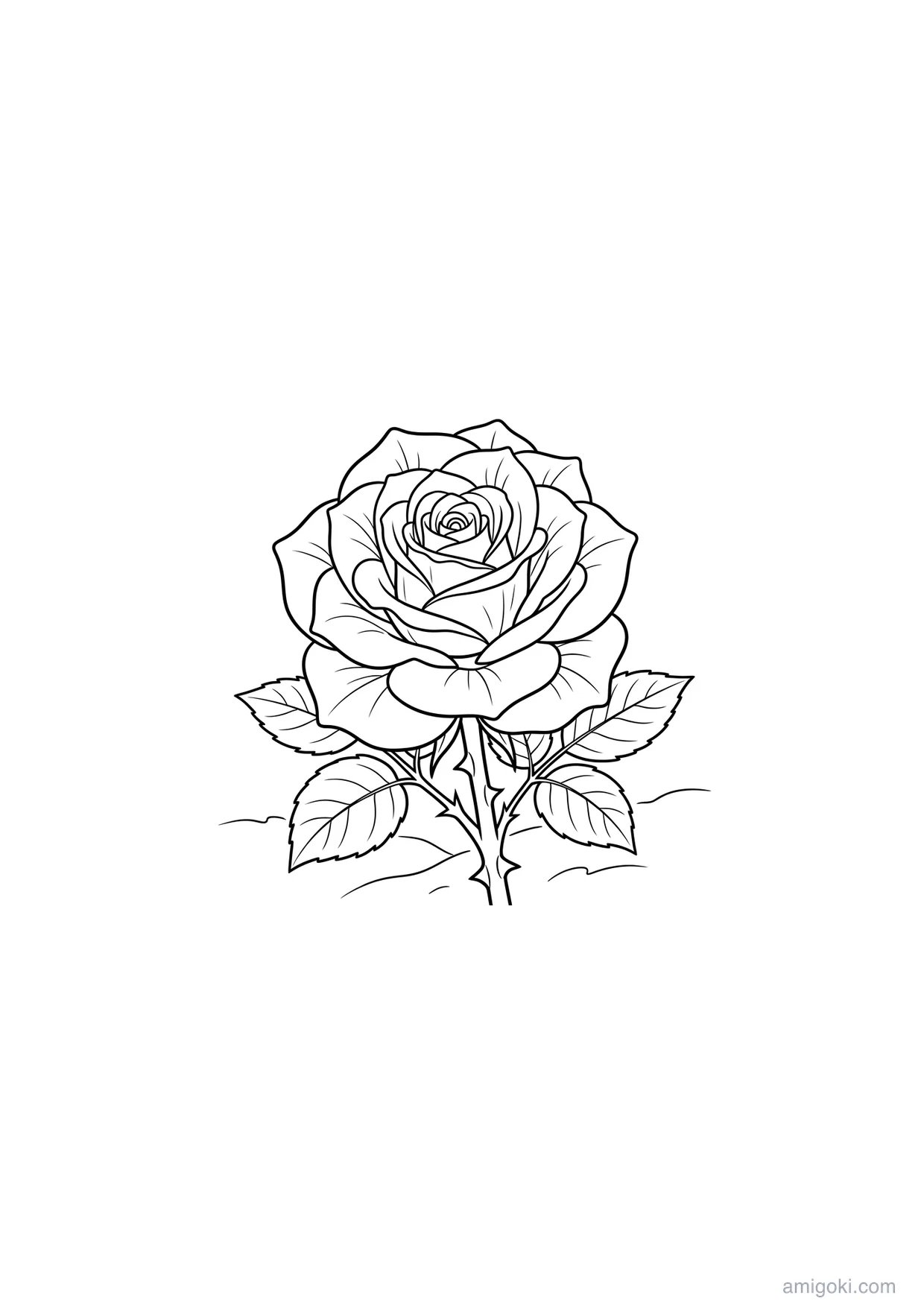 Realistic Rose Drawing to Color for Ages 6 and Up