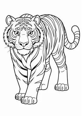 Dibujo de tigre para colorear gratis, imprimible en PDF para niños pequeños de 2 a 5 años